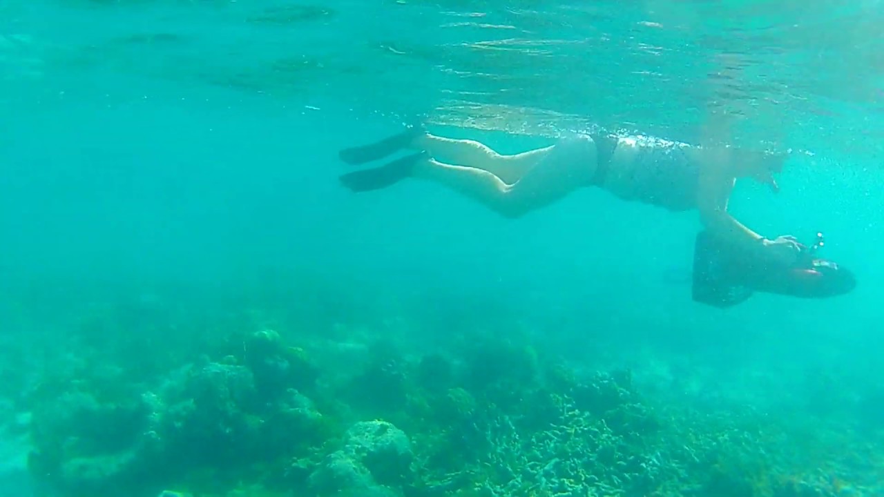 Smith's Reef with a Sea Scooter from Webfooters