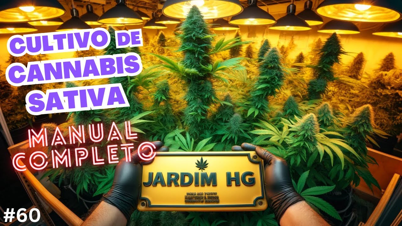 COMO PLANTAR MACONHA do ZERO (SUPER AULA)