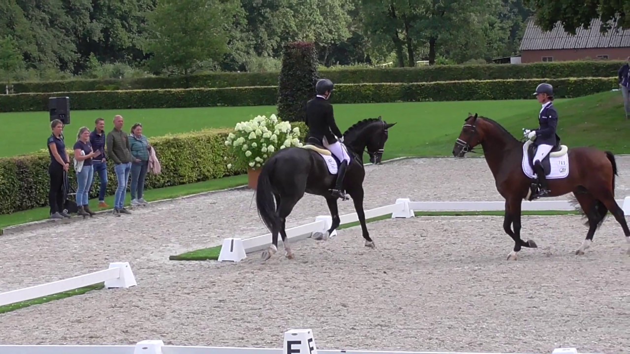 TAMINIAU (Toto Jr  x Sandro Hit) - PAVO CUP semiFinals 4yo (13Aug2019-1)