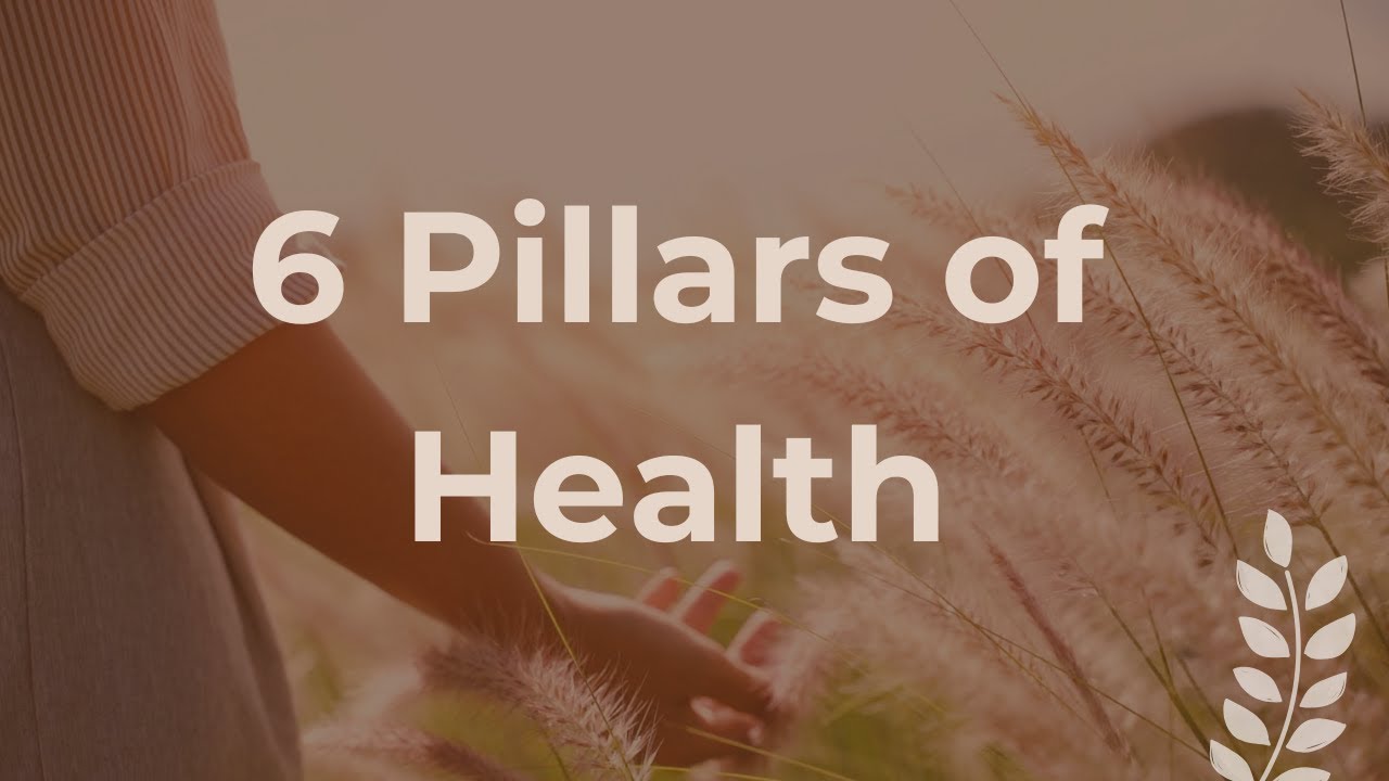What Is Lifestyle Medicine? The 6 Pillars of Proactive Health