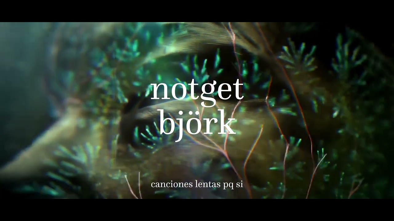 björk - notget (slowed + reverb)