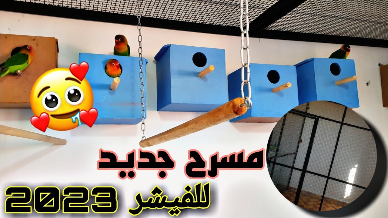 أخيرا شكل غرفة الطيور الجديدة من A....Z 😍🦜
