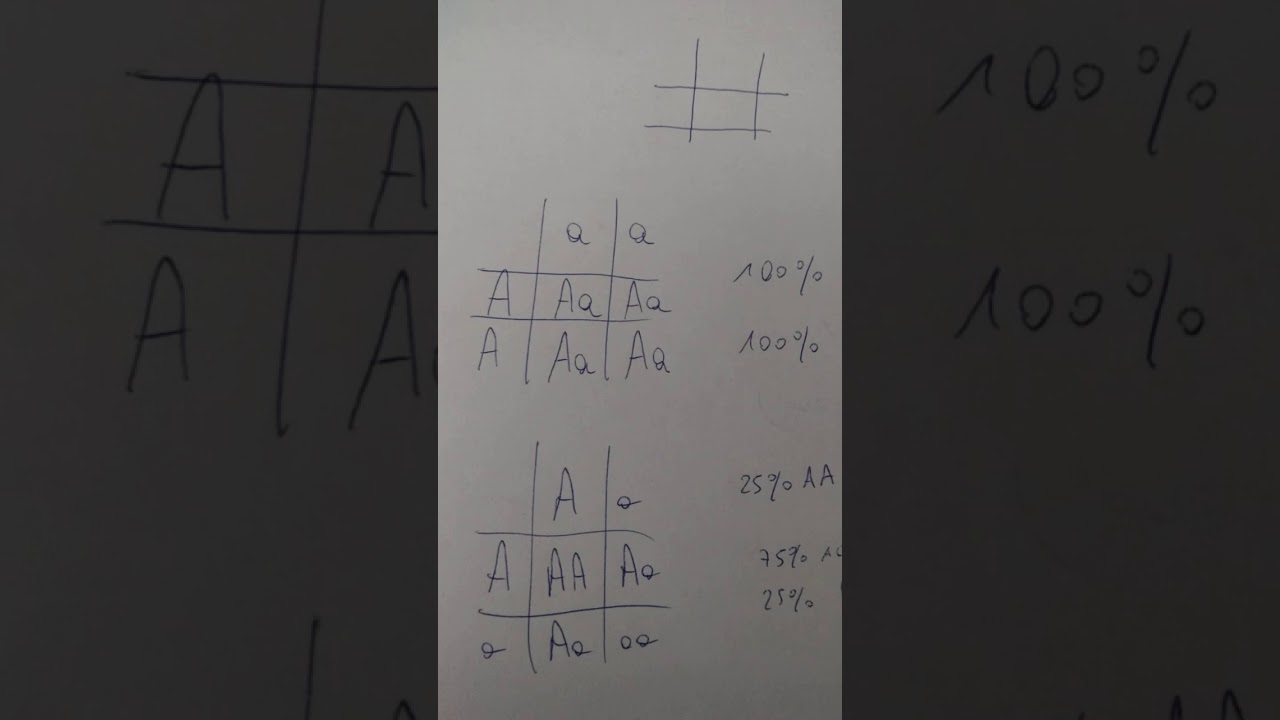 QUADRATO DI PUNNETT E DIMOSTRAZIONE MATEMATICA DI PRIMA E SECONDA LEGGE DI MENDEL - RIEPILOGO