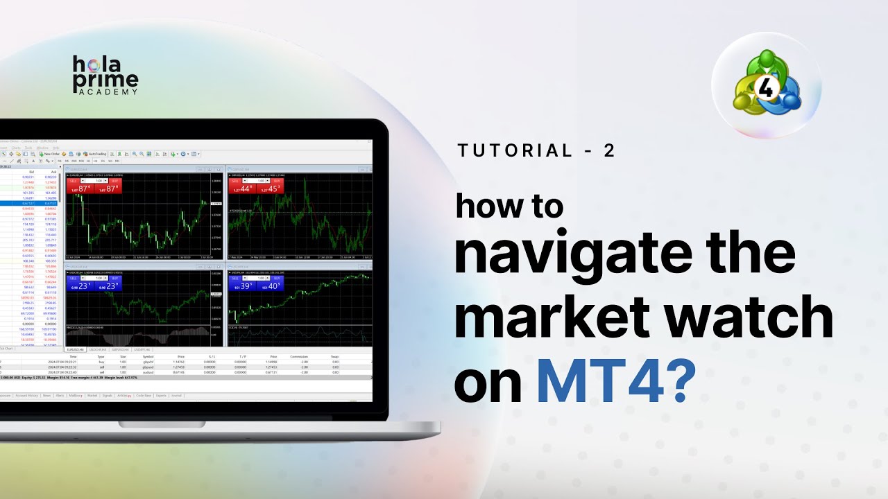 How to Navigate the Market Watch on MT4 | Hola Prime