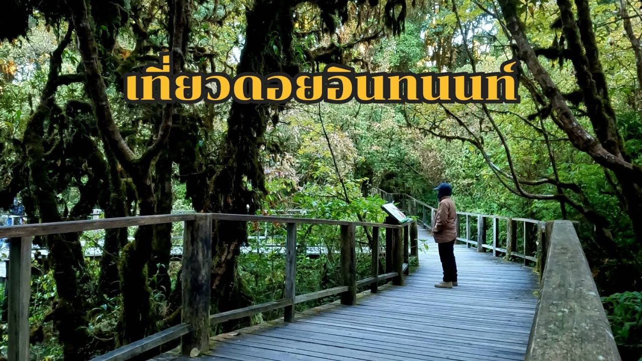 เที่ยวดอยอินทนนท์คนเดียวep.55