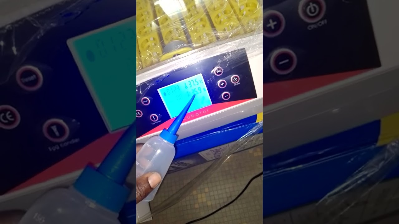 couveuse automatique 56 œufs