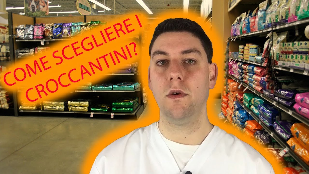 Come scegliere i CROCCANTINI migliori per il cane e per il gatto?