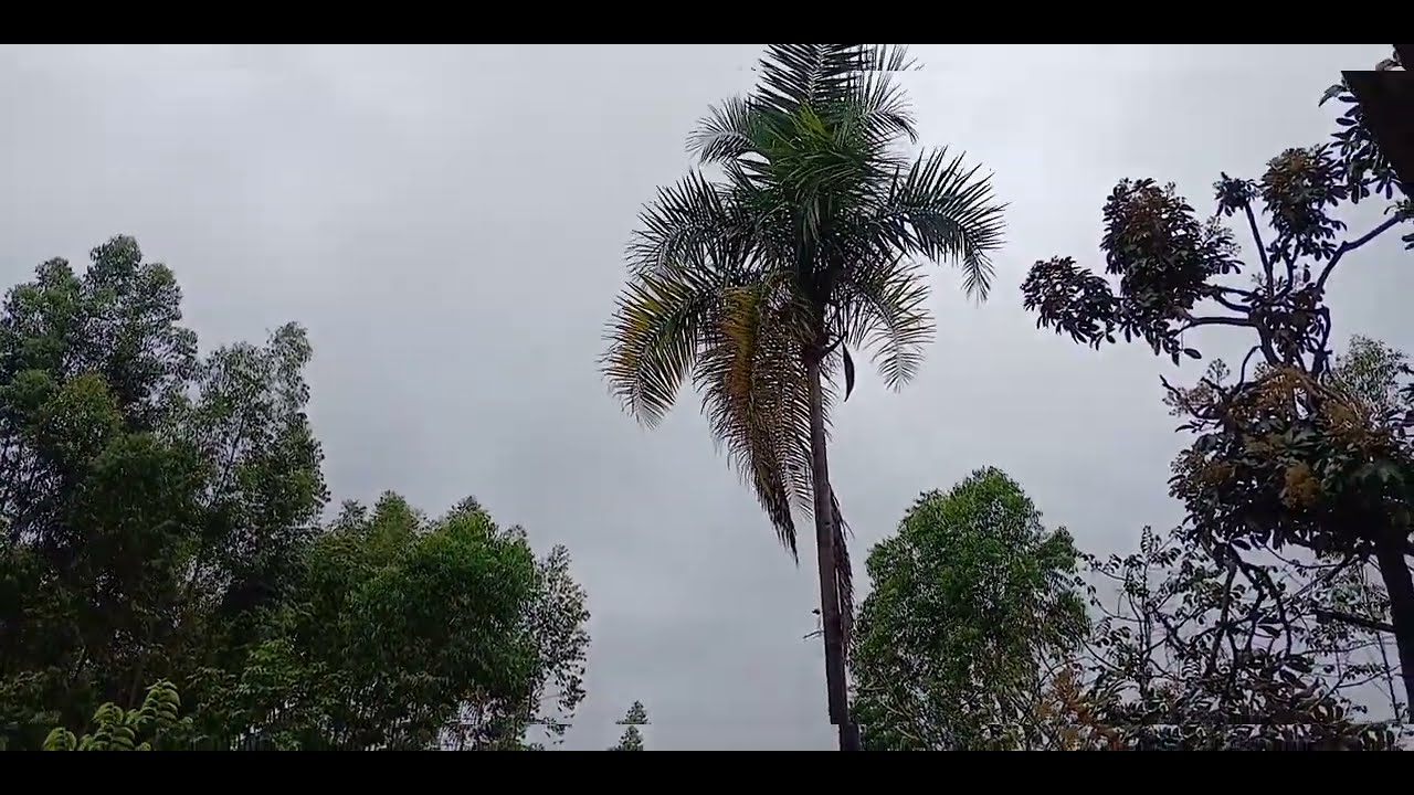 Ótimo dia galerinha pra todos🍃💞🍃