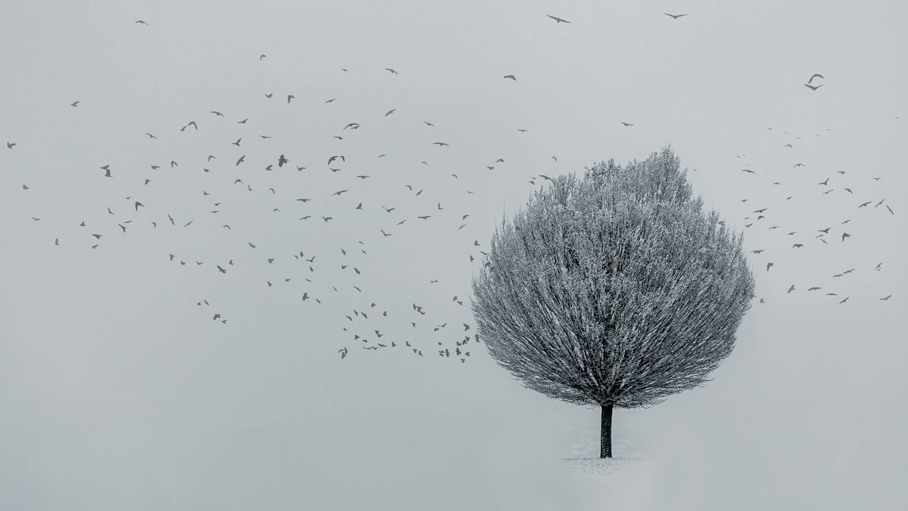 Ferven - Winter