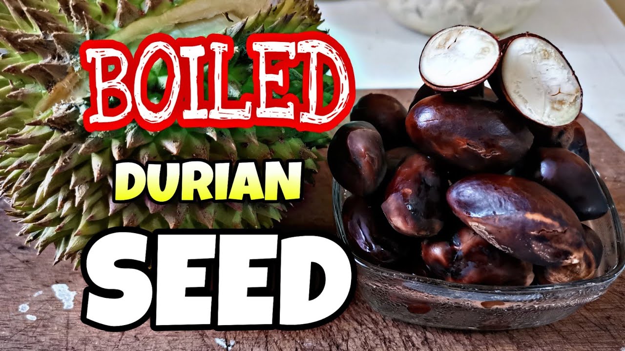 How to cook DURIAN SEED properly | Boiled Durian seed | DURIAN HONDURAS