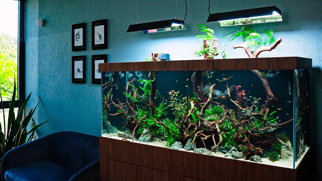 Building a 500-liter SELF-SUSTAINING Office Aquarium