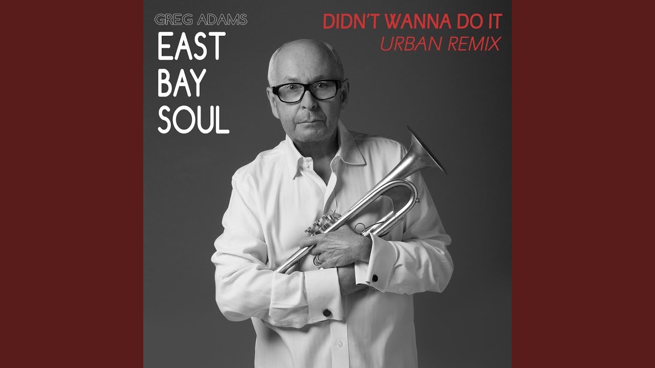 Didn't Wanna Do It (Urban Remix)