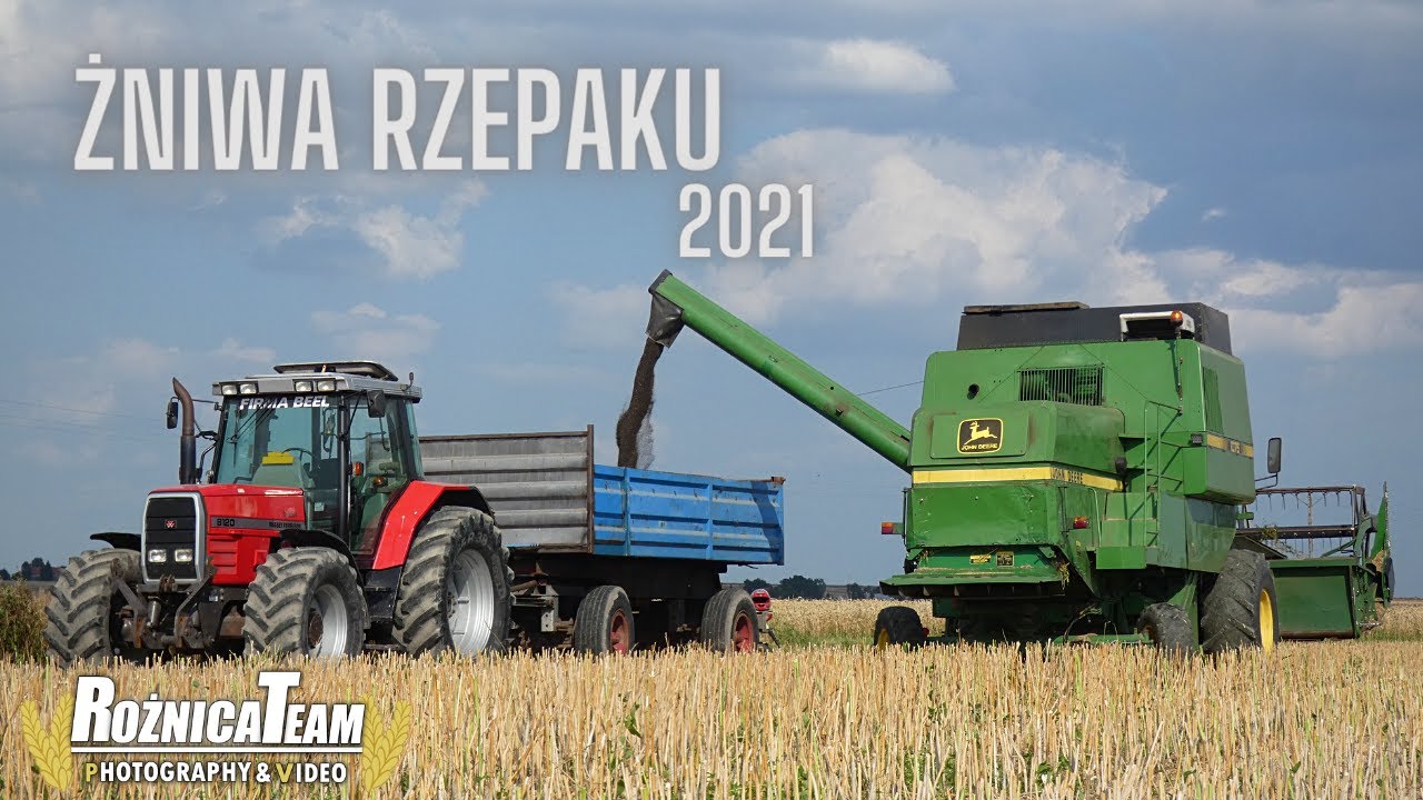 ★ Żniwa Rzepaku 2021 ★ John Deere 1075 & Massey Ferguson 8120 ★ RożnicaTeam