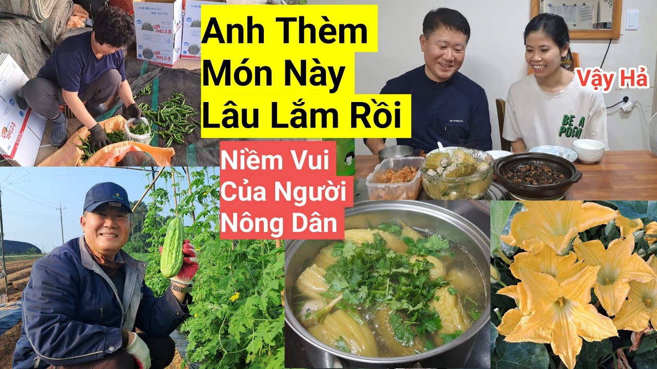 727# Vợ Việt Món Khổ Qua Hầm Và Ốc Đắng Kho Xã Ớt Liệu Chồng Hàn Có Ăn Được Không??