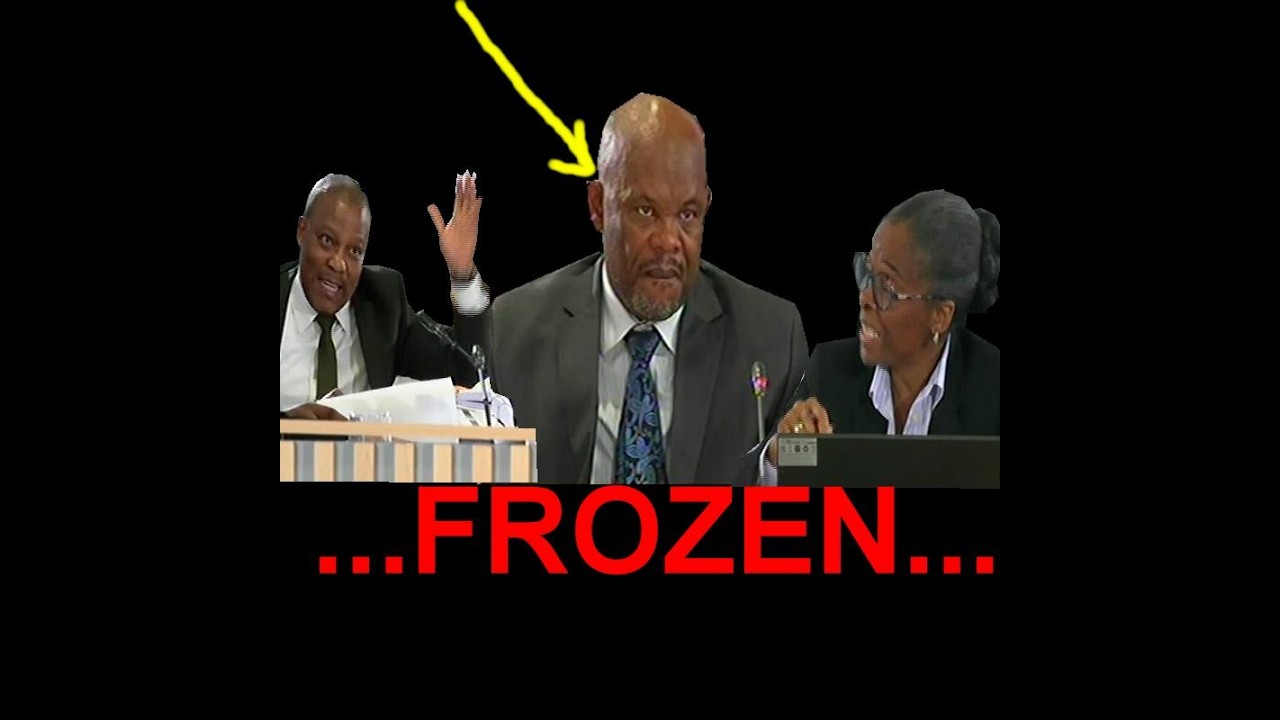 SC Baloyi and Khumalo put General Sibiya in the fridge. Watch this Madlanga clip to the end #frozen