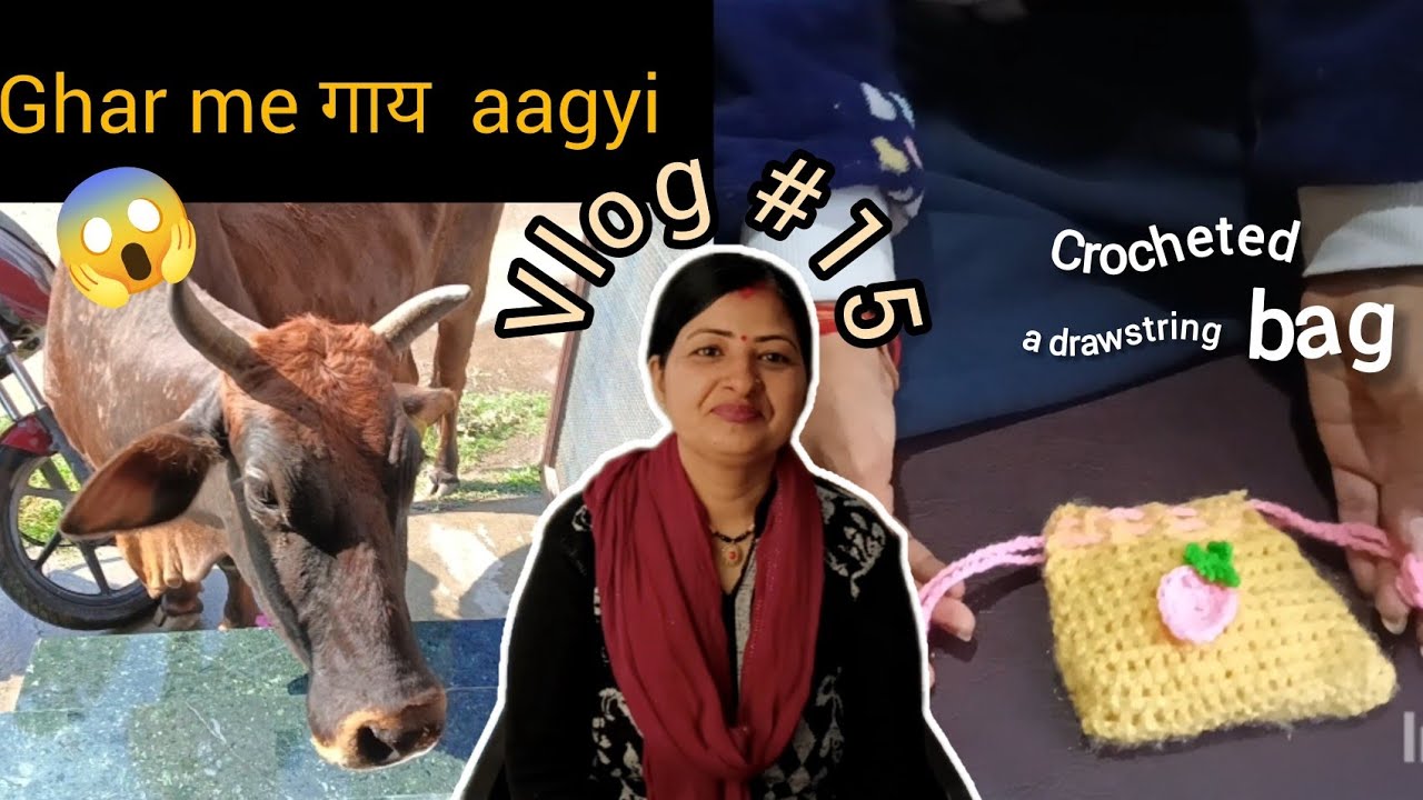 Our Morning Visitor! | Vlog #15 | Life Updates! | Mehra Family Vlogs 🩵