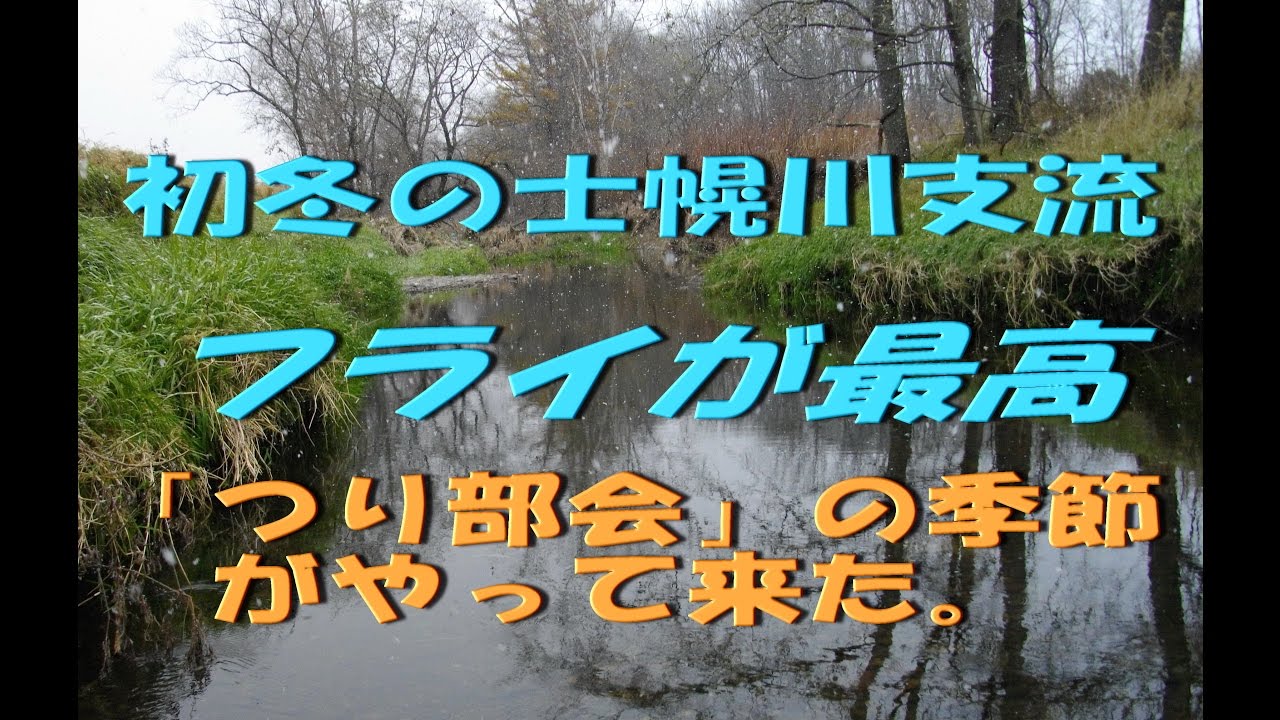 2016.11.3　「つり部会」　初冬の士幌川支流　フライが最高！　ピコ太郎世代の釣り動画 　ブラウントラウト