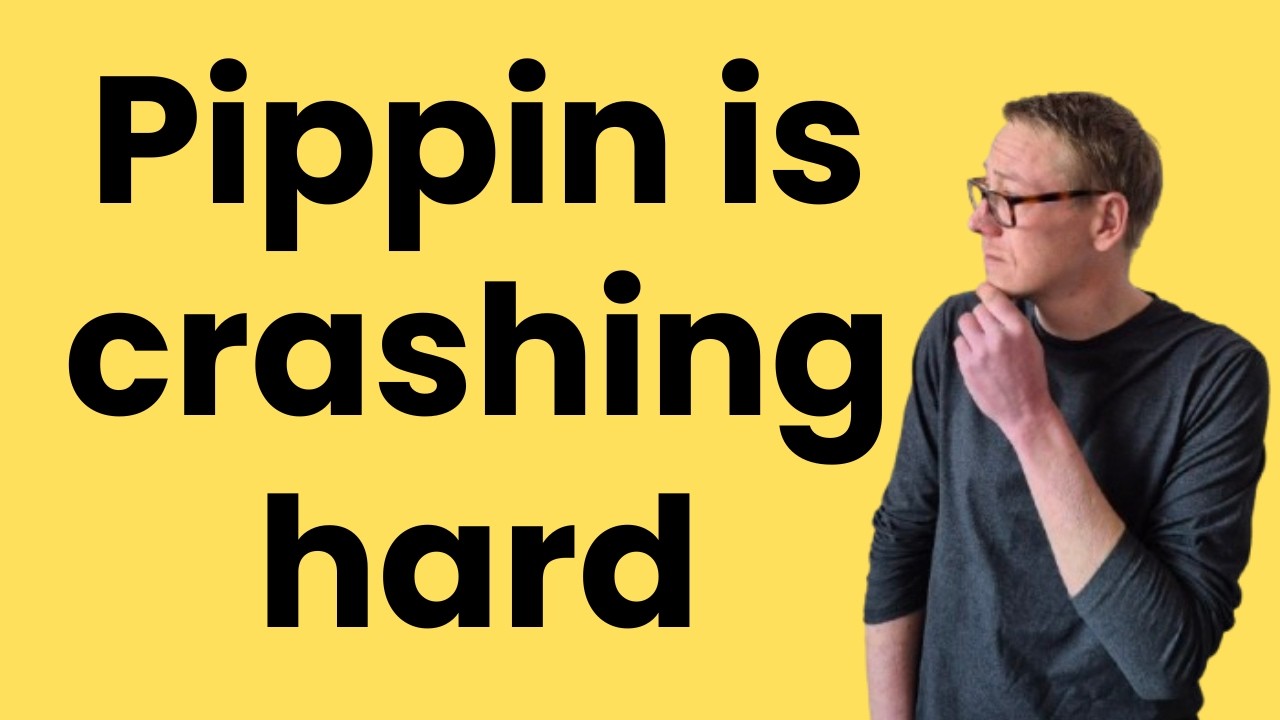 Обзор криптовалюты Pippin &mdash; не принесет прибыли.