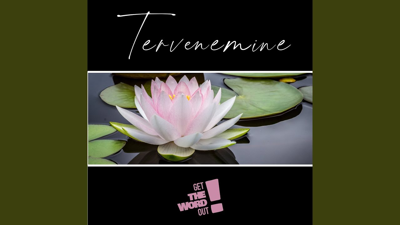 Tervenemine