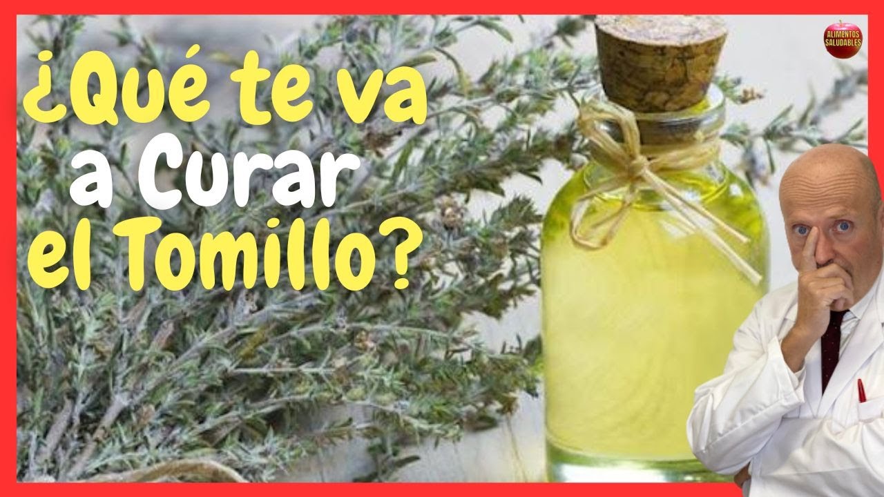 &iquest;QU&Eacute; CURA? Y &iquest;PARA QU&Eacute; SIRVE EL TOMILLO COMO PLANTA MEDICINAL?  USOS Y BENEFICIOS
