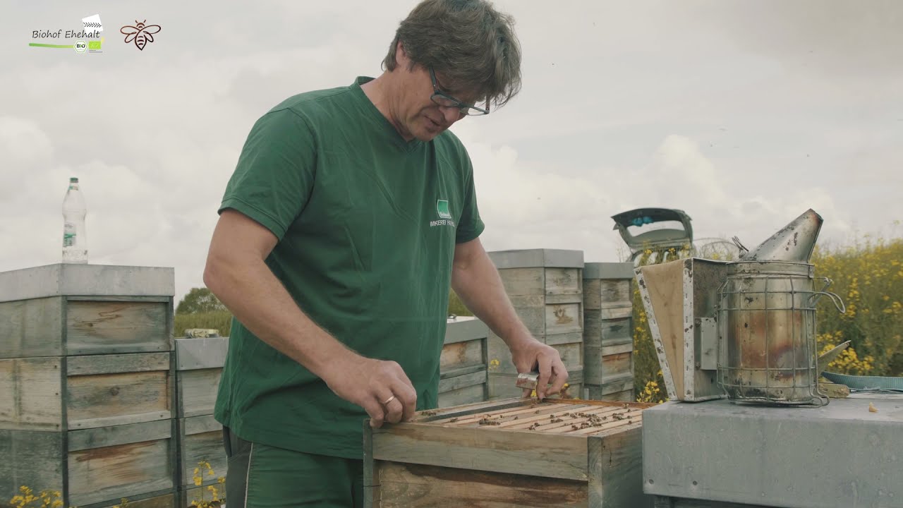 Biobienen im Bioraps.