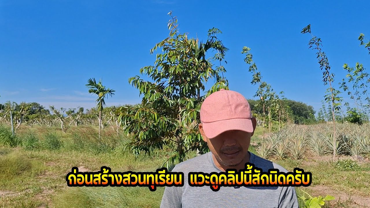 จะสร้างสวนทุเรียน  แวะดูคลิปนี้สักนิดครับ