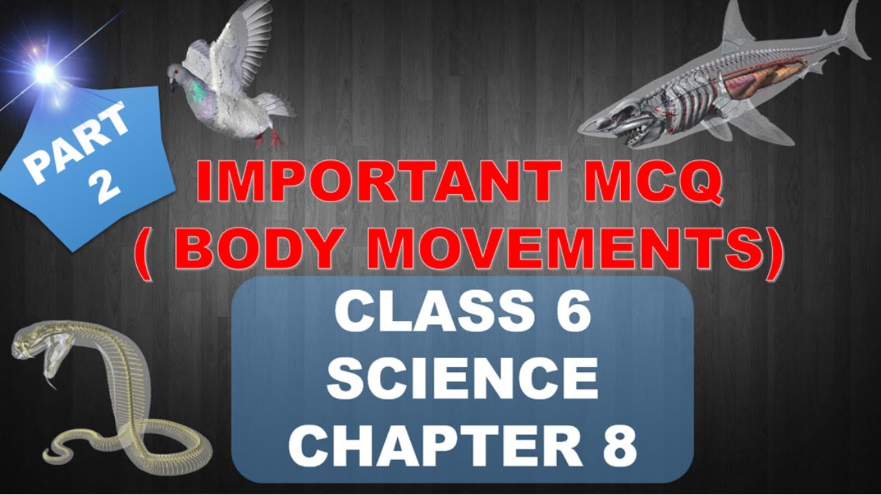IMPORTANT MCQ OF CLASS 6 SCIENCE CHAPTER 8 PART 2 | BODY MOVEMENTS | HIMANSHI BHATT