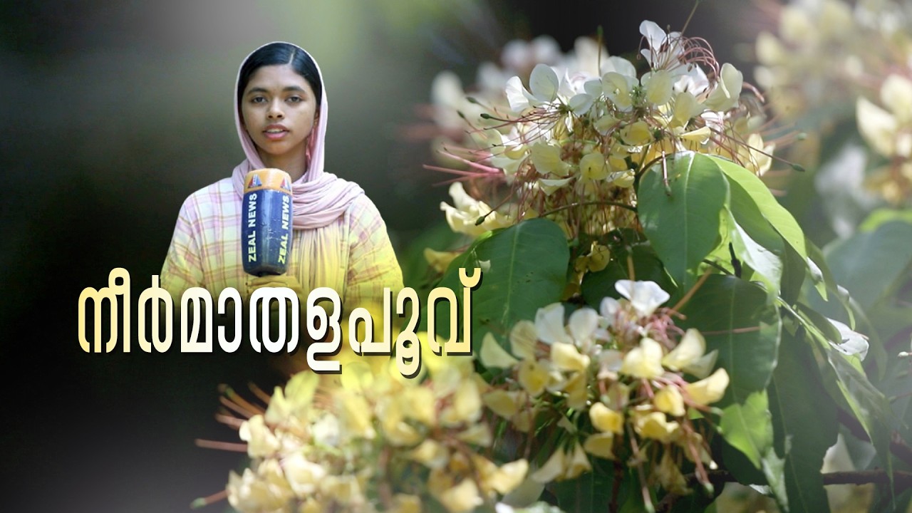 നീർമാതള പൂവ്
