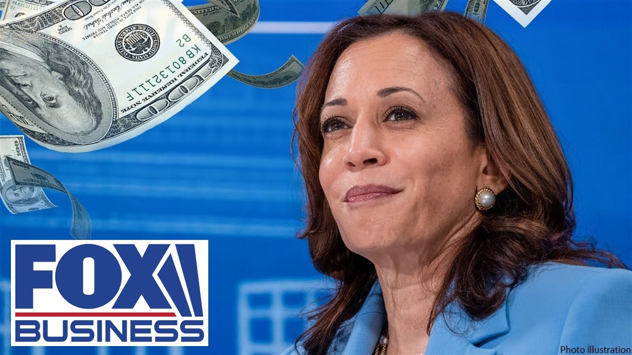 Former Trump economist shuts down Kamala Harris' poor understanding of US economy