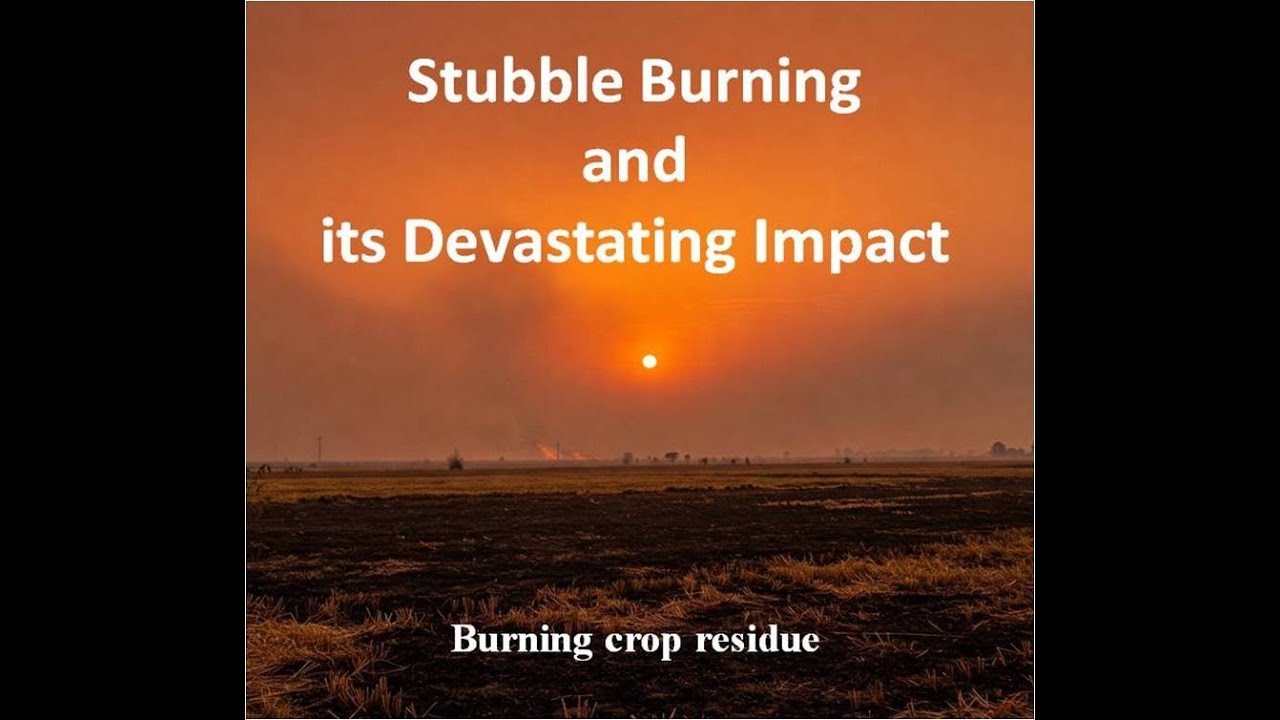 Crop residue Burning I Stubble Burning I stubble burning solution