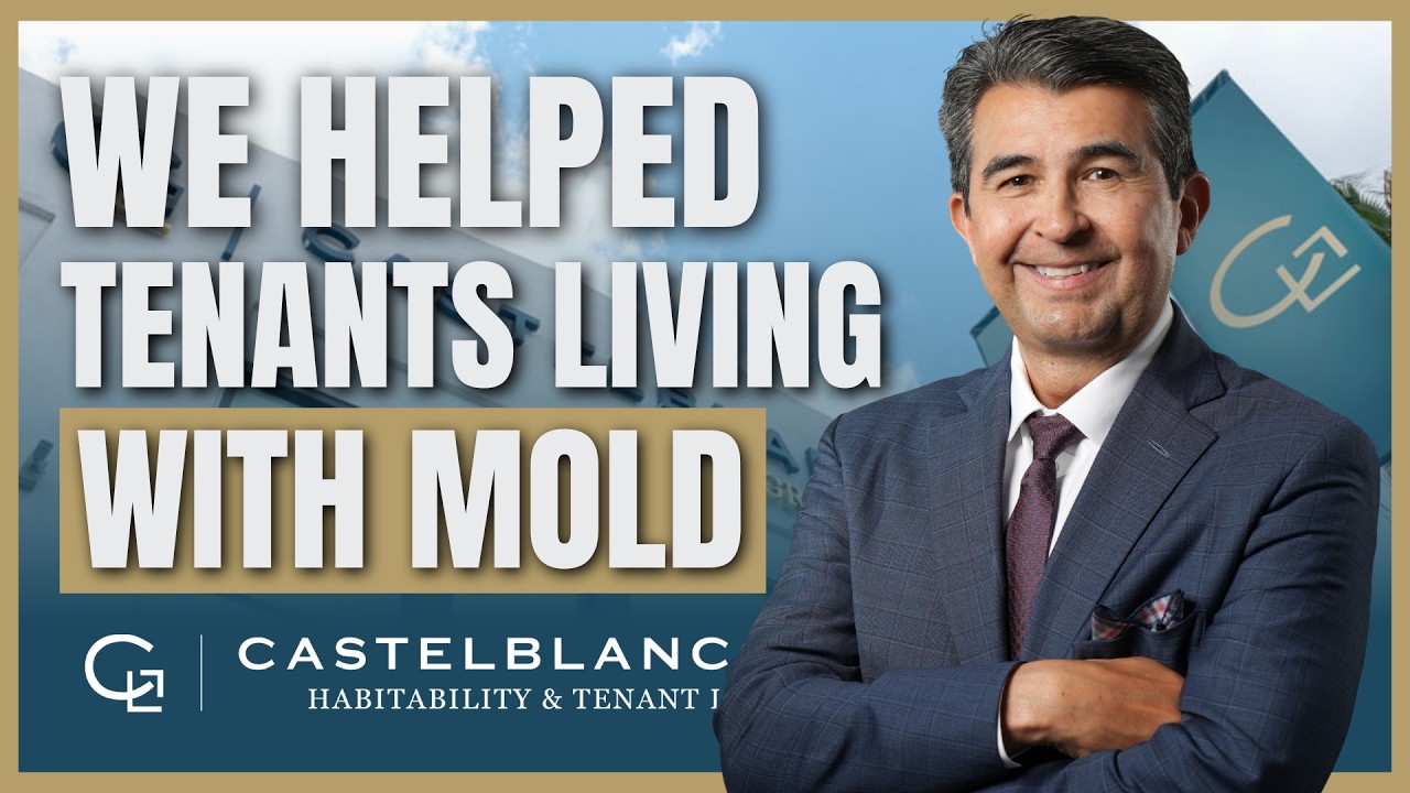 How We Help Tenants With Mold | Castelblanco Law Group