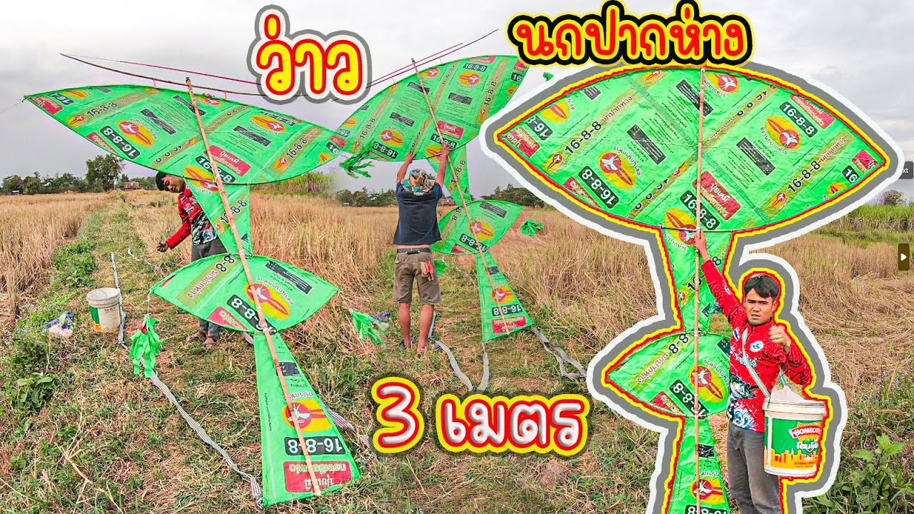 ว่าวนกปากห่างยักษ์  3 เมตร ดึงเกือบไม่อยู่