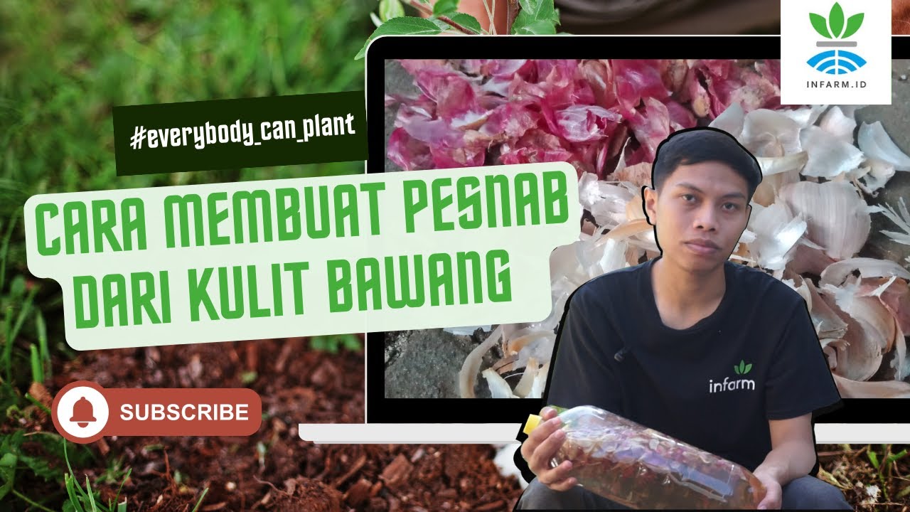 CARA MEMBUAT PESTISIDA NABATI DARI KULIT BAWANG || PESTICIDE & FERTILIZER FROM ONION PEEL