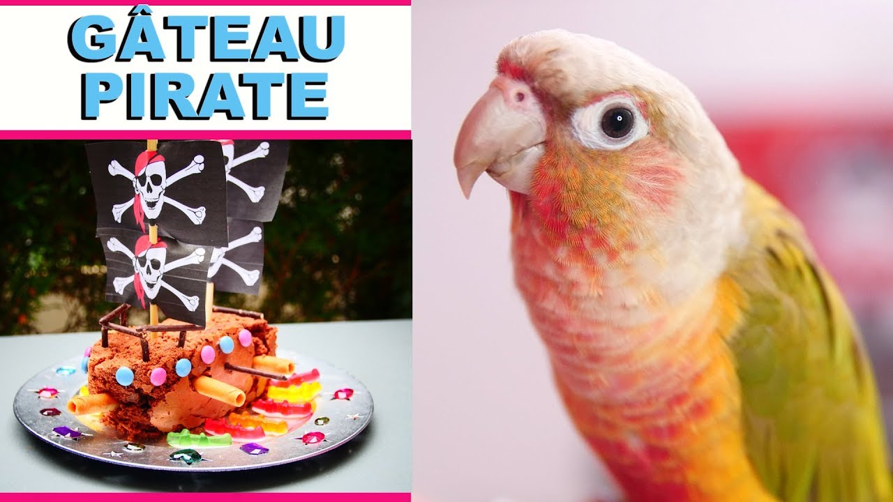 GÂTEAU BATEAU PIRATE [Recette facile] ♡ VIRGINIE FAIT SA CUISINE [85]