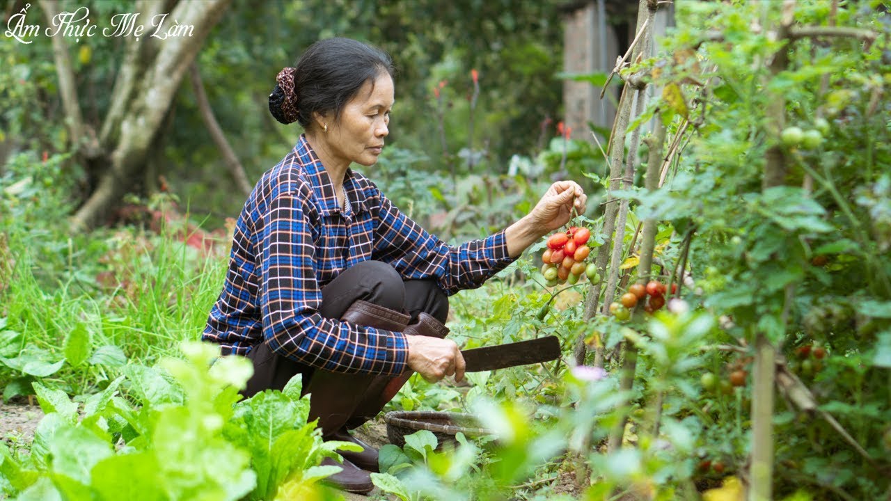 Vườn c&agrave; chua ch&iacute;n đỏ, mẹ l&agrave;m c&aacute;c m&oacute;n ngon từ c&agrave; chua ( Dishes From Tomatoes ) I Ẩm Thực Mẹ L&agrave;m
