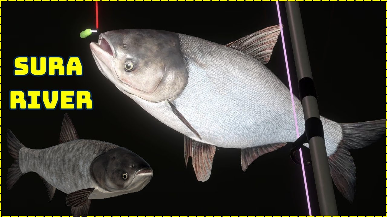 Silver & Bighead Carp SURA RIVER (60)  Russian Fishing 4