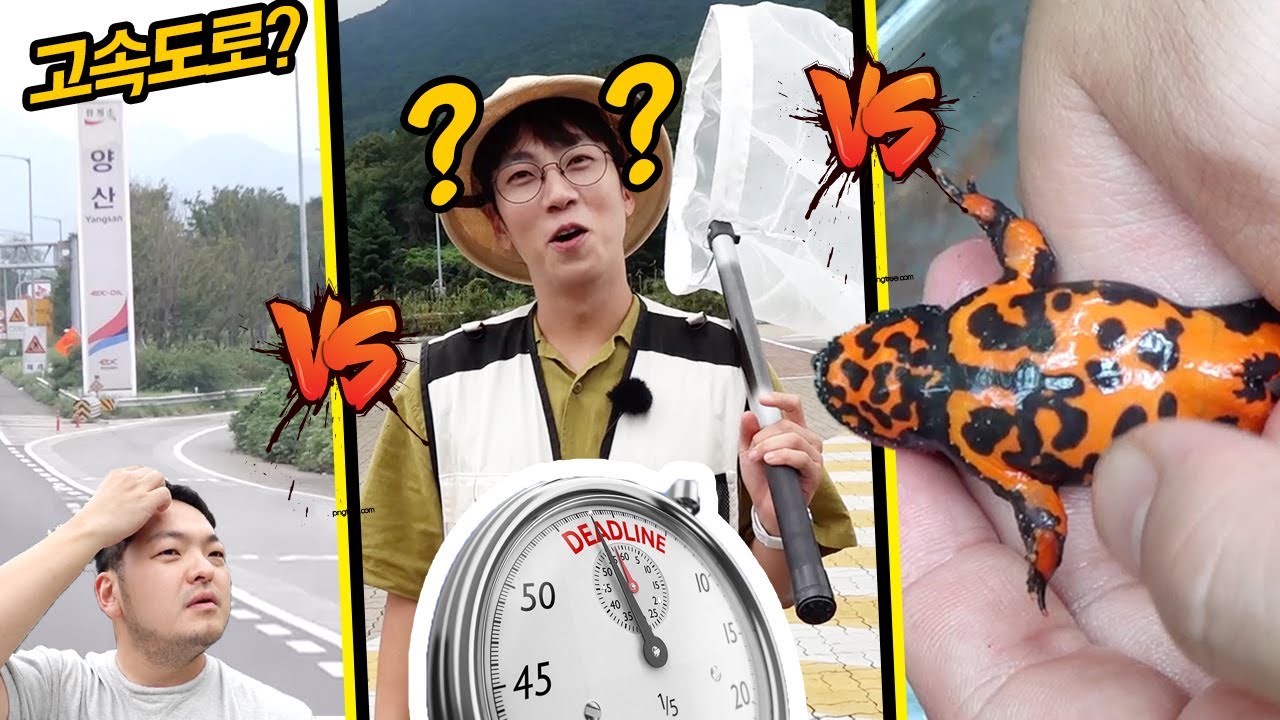 [생물타임어택] 휴게소에서 생물채집? 종합생물 42종 채집대결!!