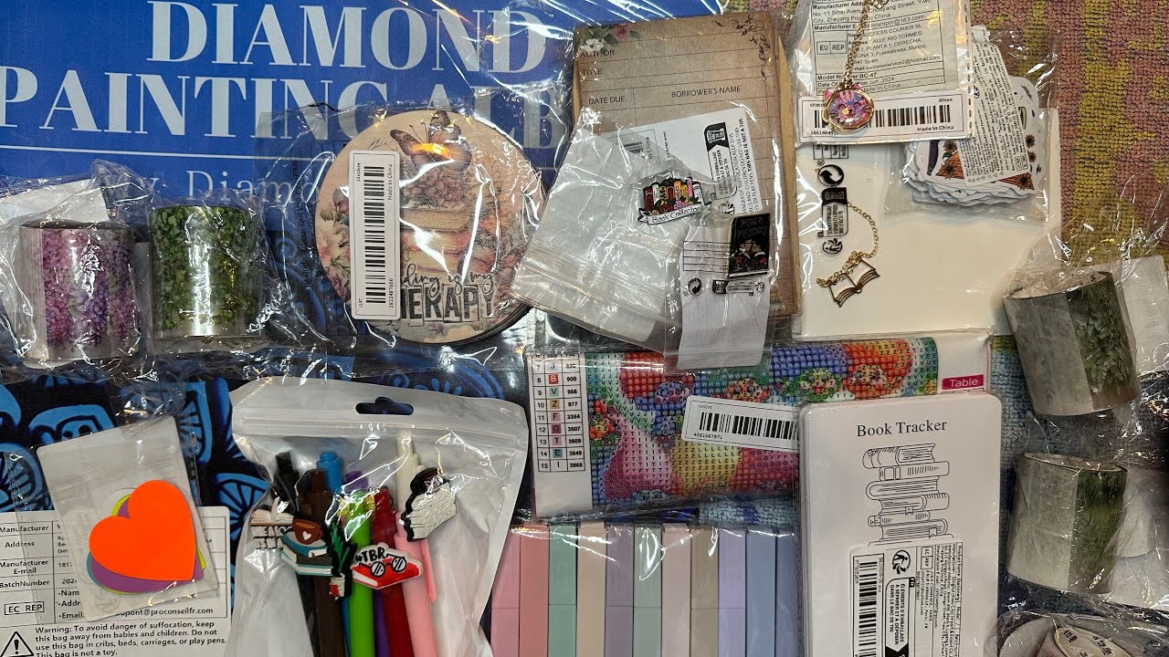 TEMU LARGE CRAFT HAUL/ CAN YOU SAY BLIND-DATE-WITH-A-BOOK?