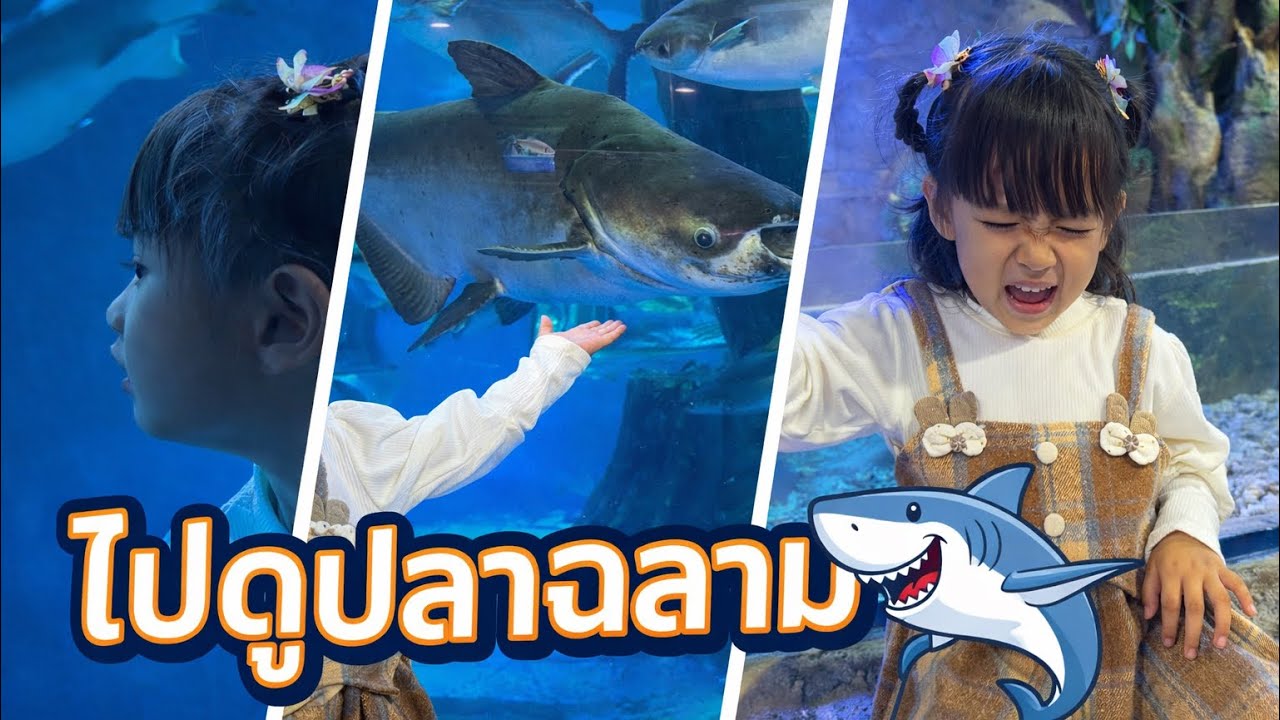 ไปดูฉลาม ที่บึงฉวากกัน🦈