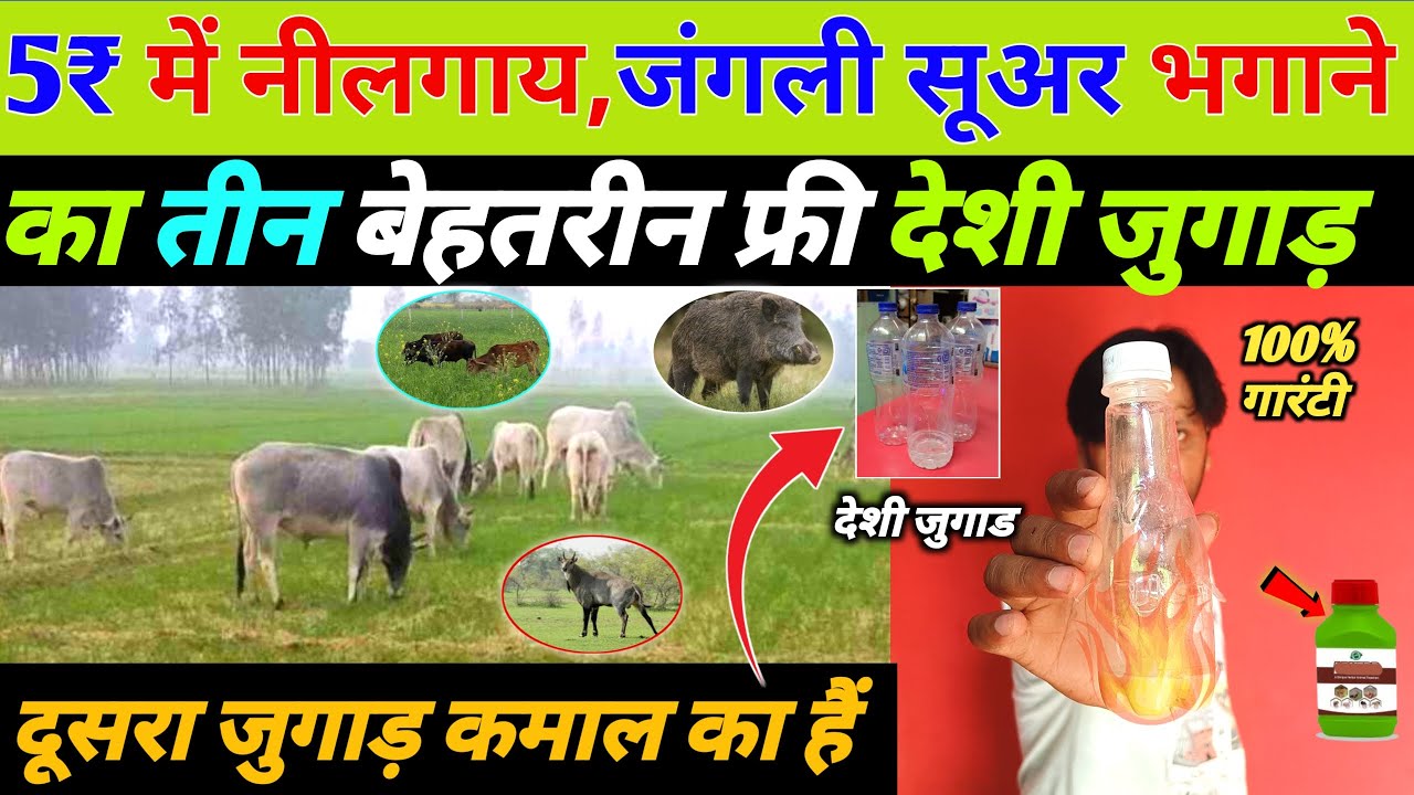 सबसे बेहतरीन🔥देशी जुगाड़ वीडियो जरूर देखें | nilgai bhagane ka upay |Desi jugad tool@𝐃𝐞𝐬𝐢 𝐉𝐮𝐠𝐚𝐚𝐝 𝐓𝐞𝐜𝐡