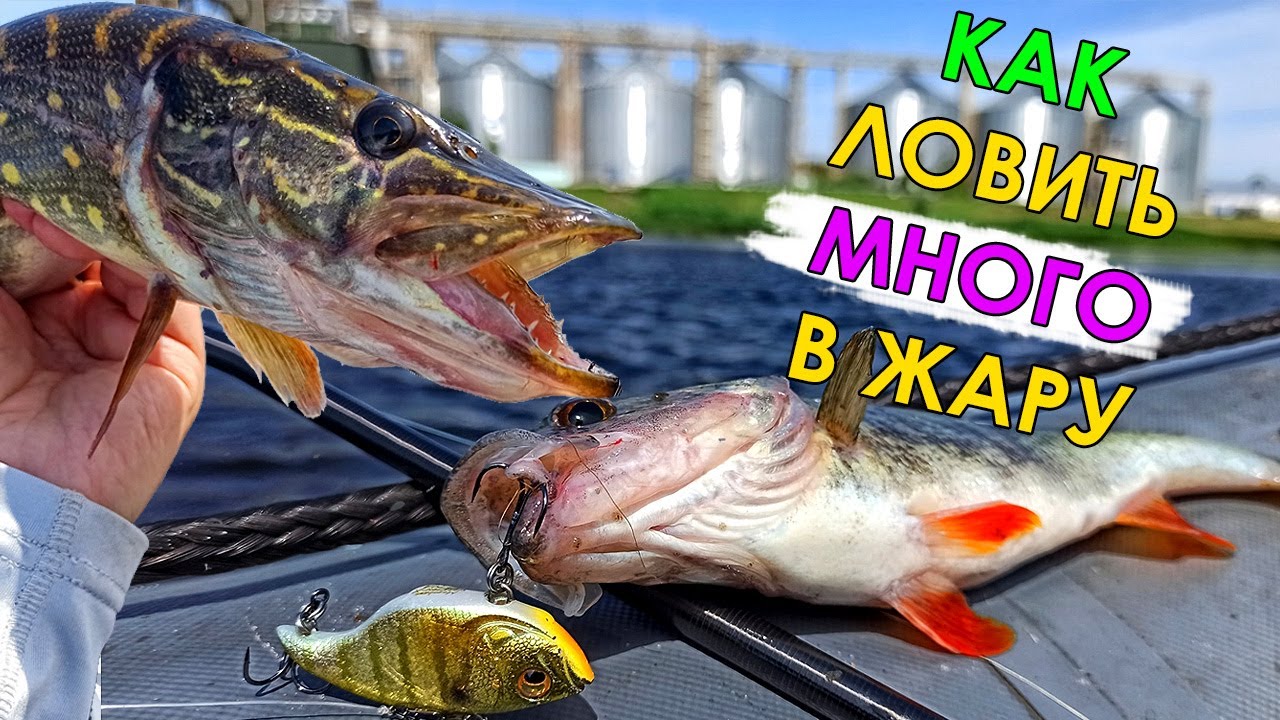 ОТ ЭТОГО РЫБА СХОДИТ С УМА В ЖАРУ! Рыбалка на спиннинг 2021! Ловля щуки и окуня на джиг и раттлины