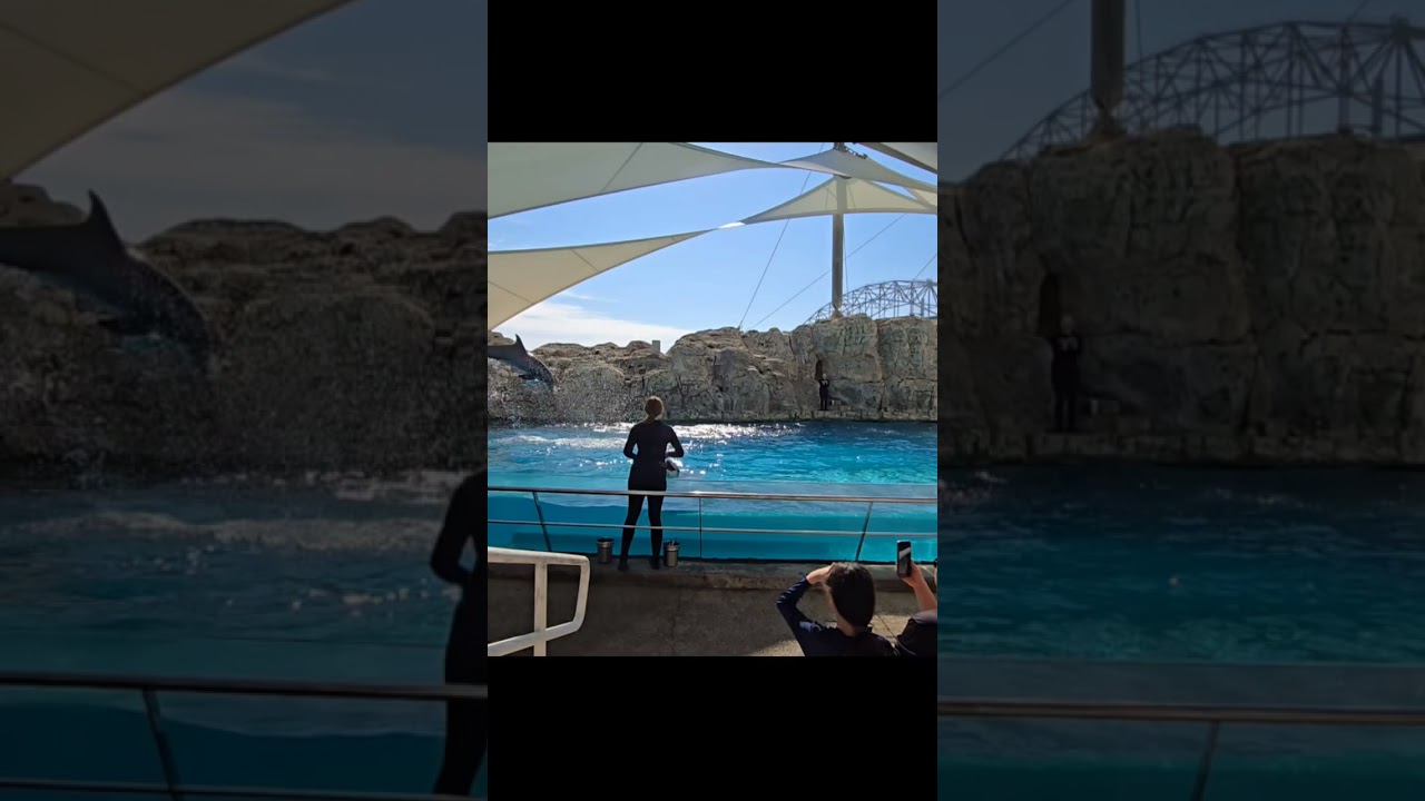 Explore the Dolphin 🐬 Show at Texas State Aquarium, Corpus Christi TX