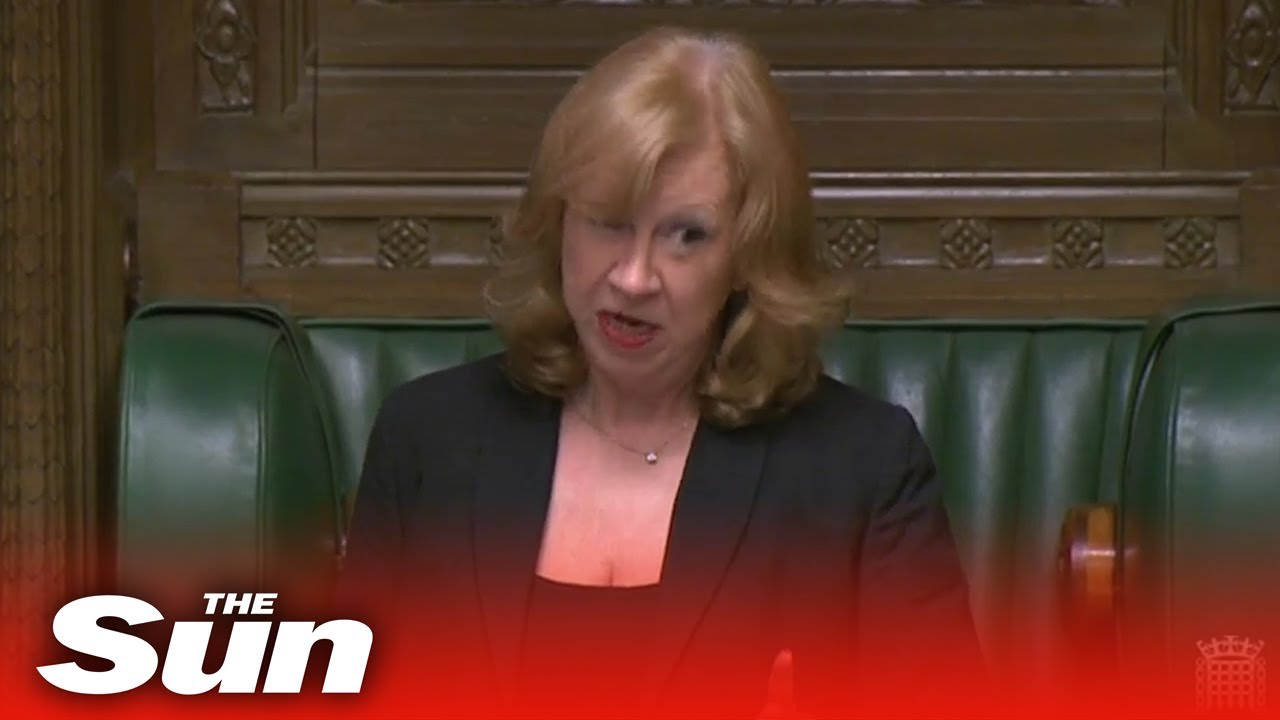 Commons in uproar after Labour MP appears to call Tory 