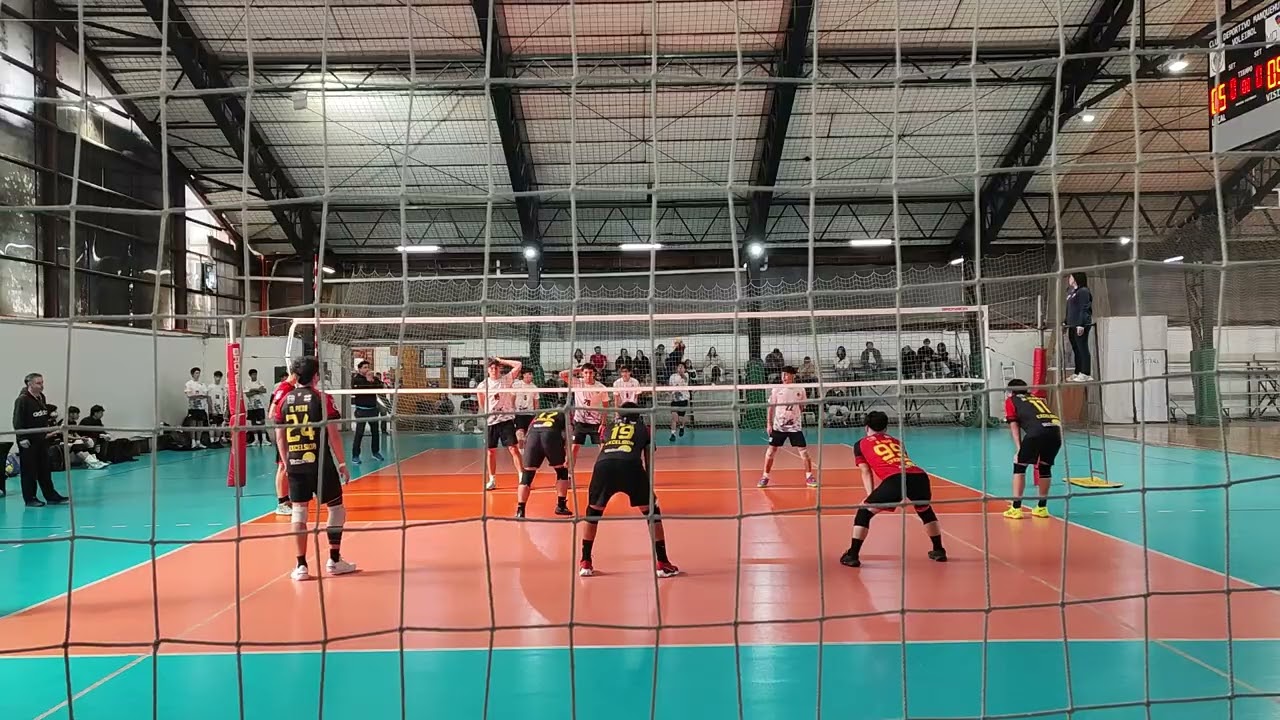 PROVOLEY VS EXCELSIOR B - AVOLCO U18 20205