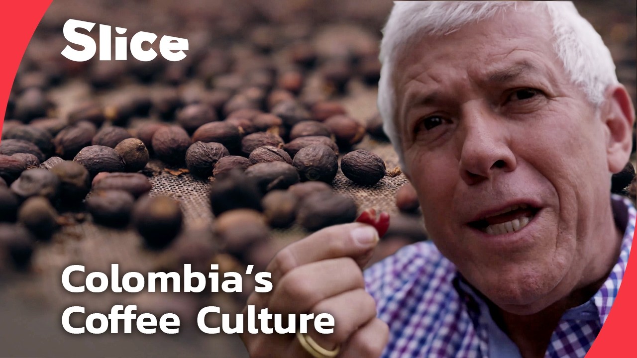 Colombia&rsquo;s Mountain Coffee: Where the World&rsquo;s Best Coffee Grows | SLICE