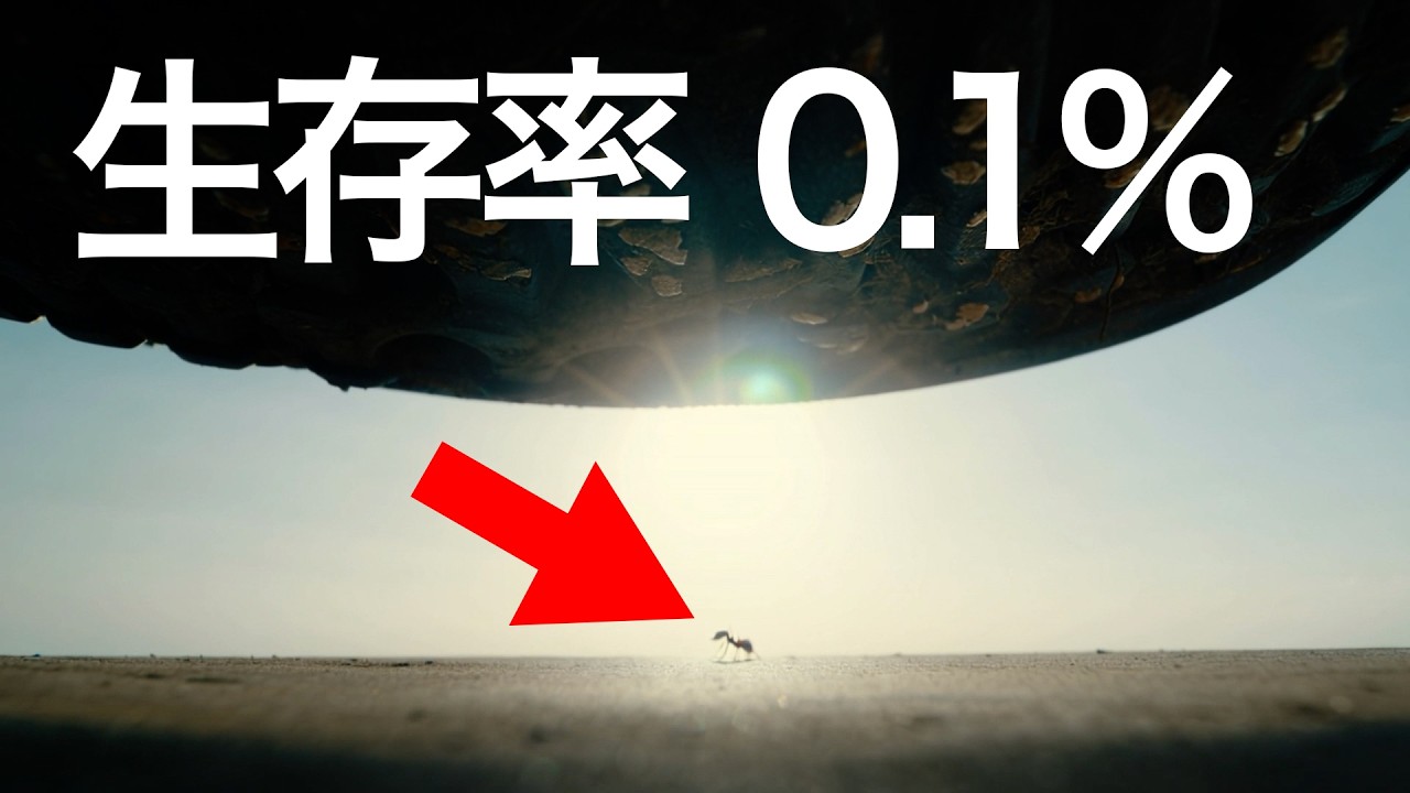 逃げ場なし。地上のすべてが牙を剥く「3mgの戦場」の真実。【アリの1日】