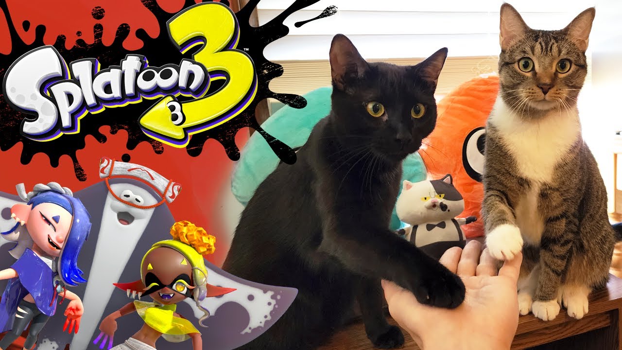 Splatoon 3: Splatfest World Premiere! - Tricolor Turf War, Stringer Gameplay - Splaturday Night LIVE