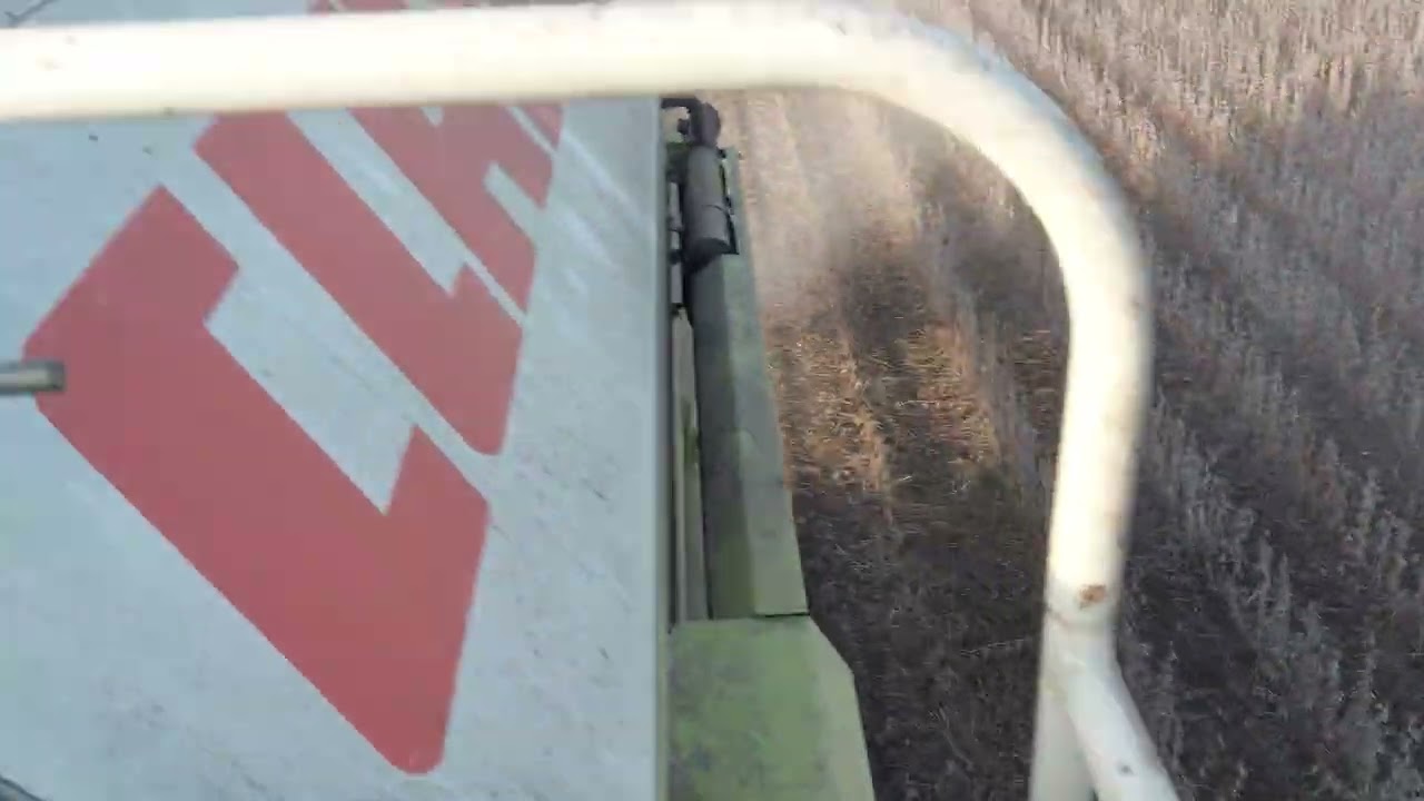 Žetva soje januar 2023 godine, budjava i katastrofalan prinos.