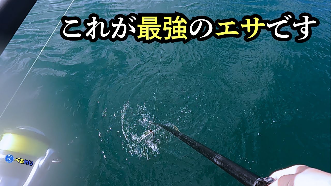 大物がめちゃくちゃ釣れる最強のエサ釣り