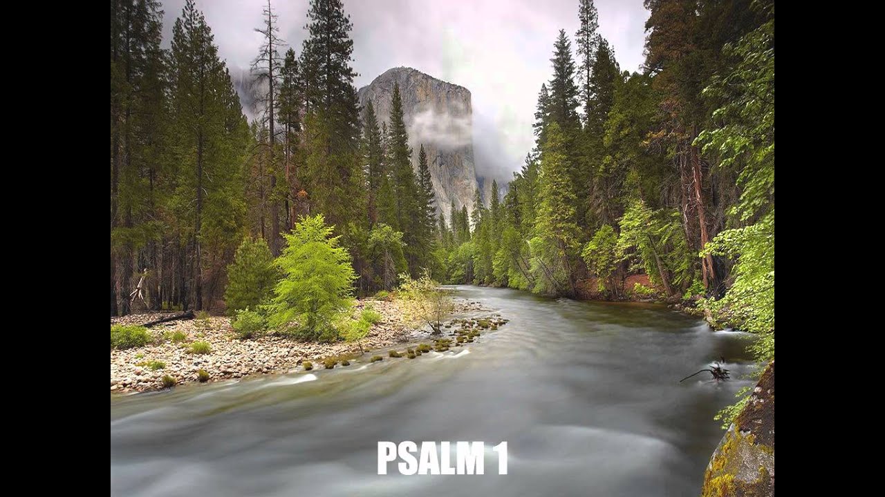 Psalm 1